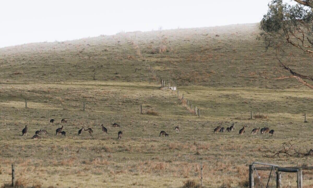 Photo of Others in Alberton West