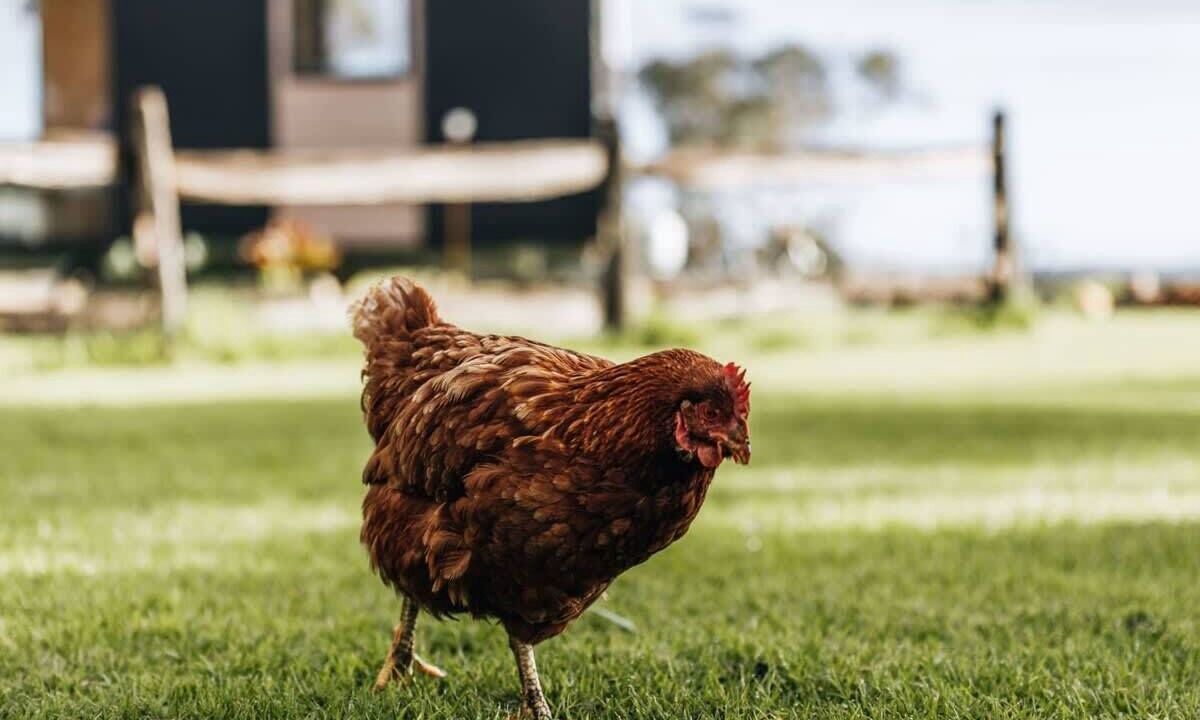 Photo of Outdoor in Alberton West