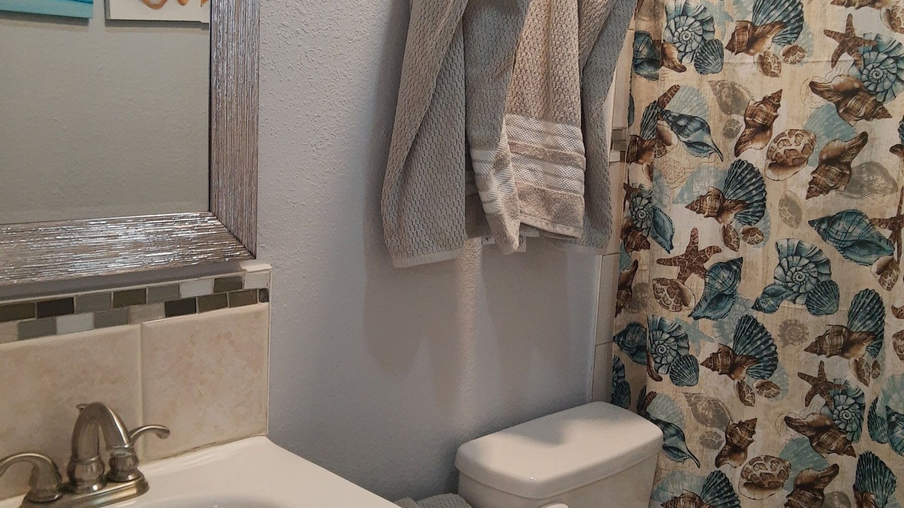 Photo of Bathroom in Citrus Park