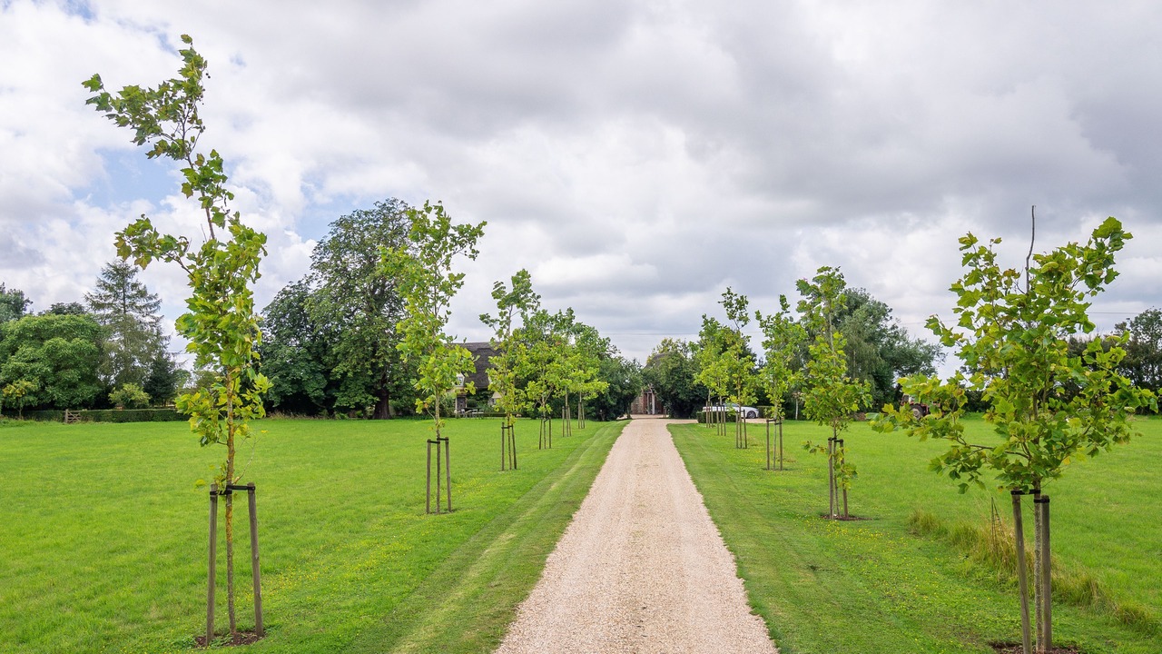 Photo of Others in Newmarket