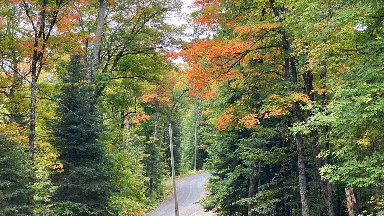 Photo of Outdoor in Highlands East