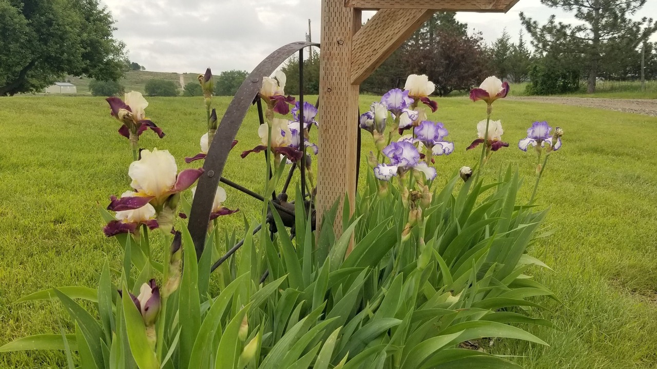 Photo of Outdoor in Lonergan