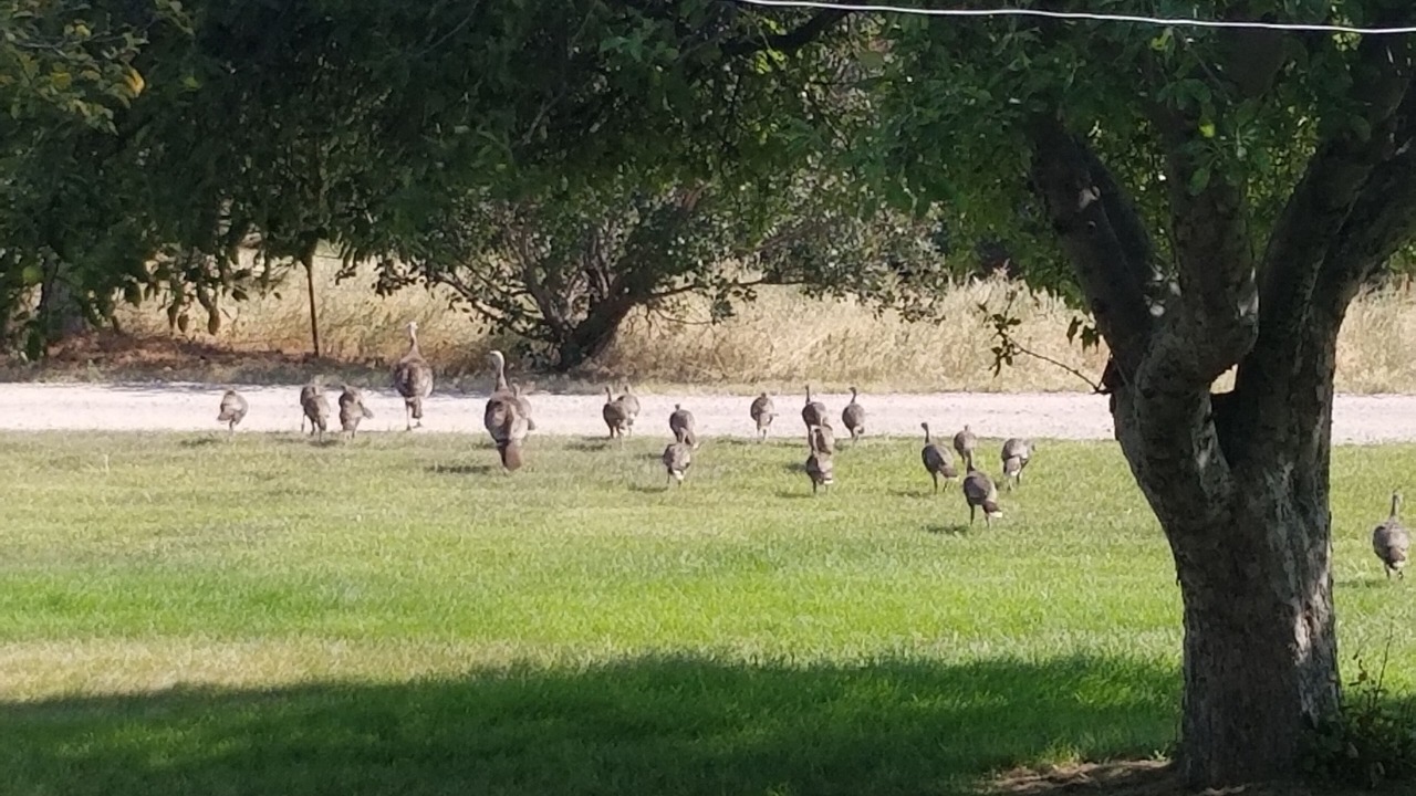 Photo of Outdoor in Lonergan