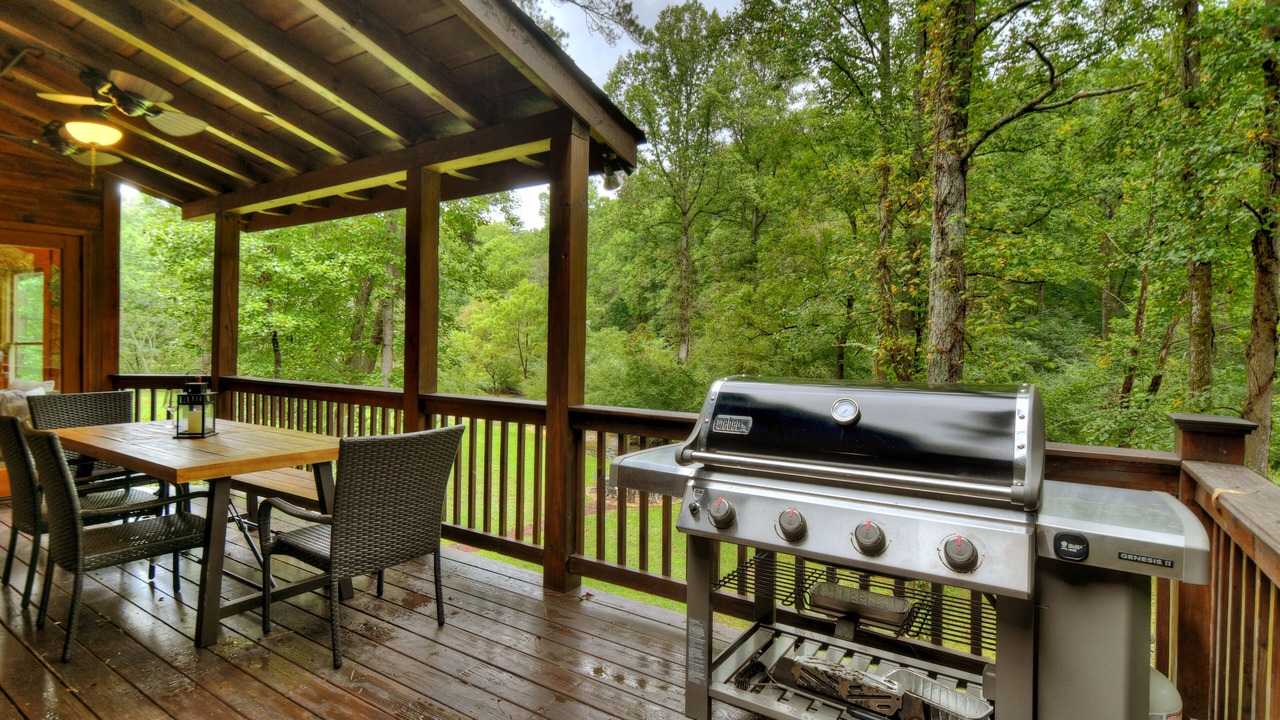 Photo of Outdoor in Ellijay