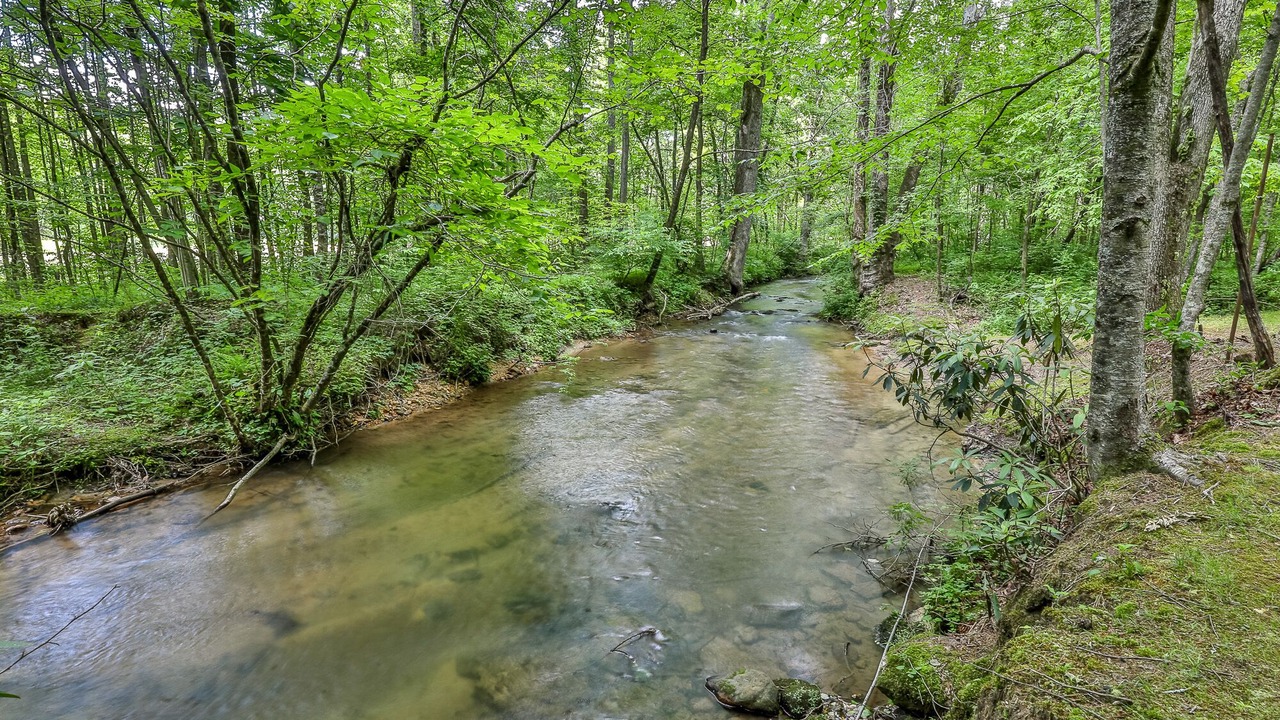 Photo of Others in Ellijay