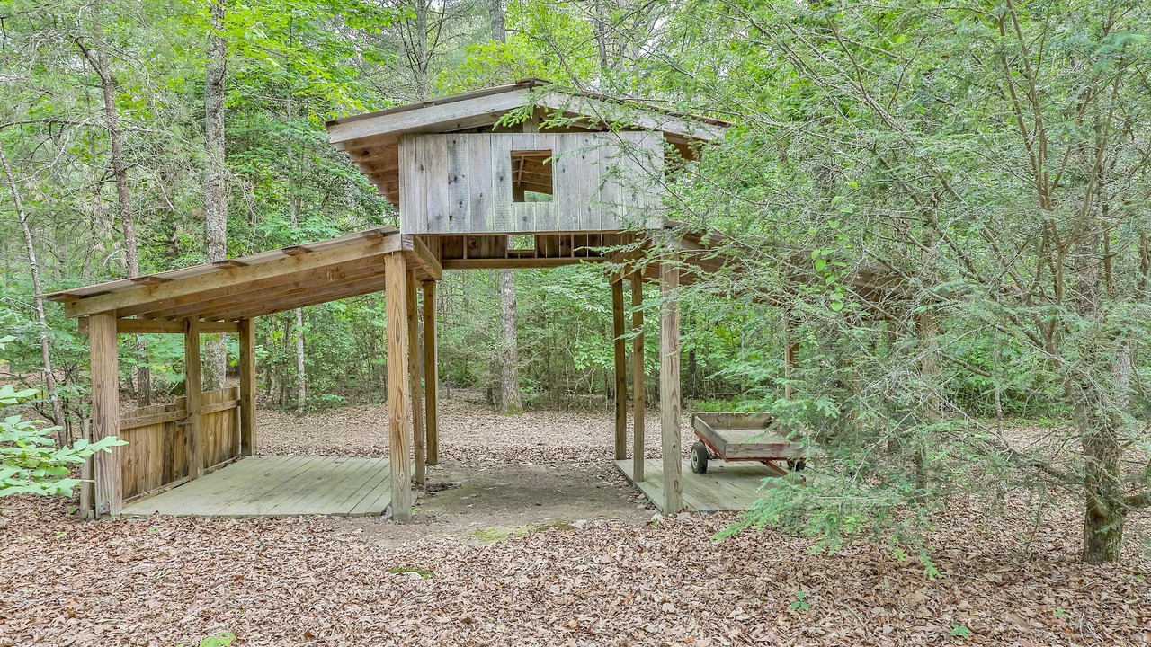 Photo of Others in Ellijay