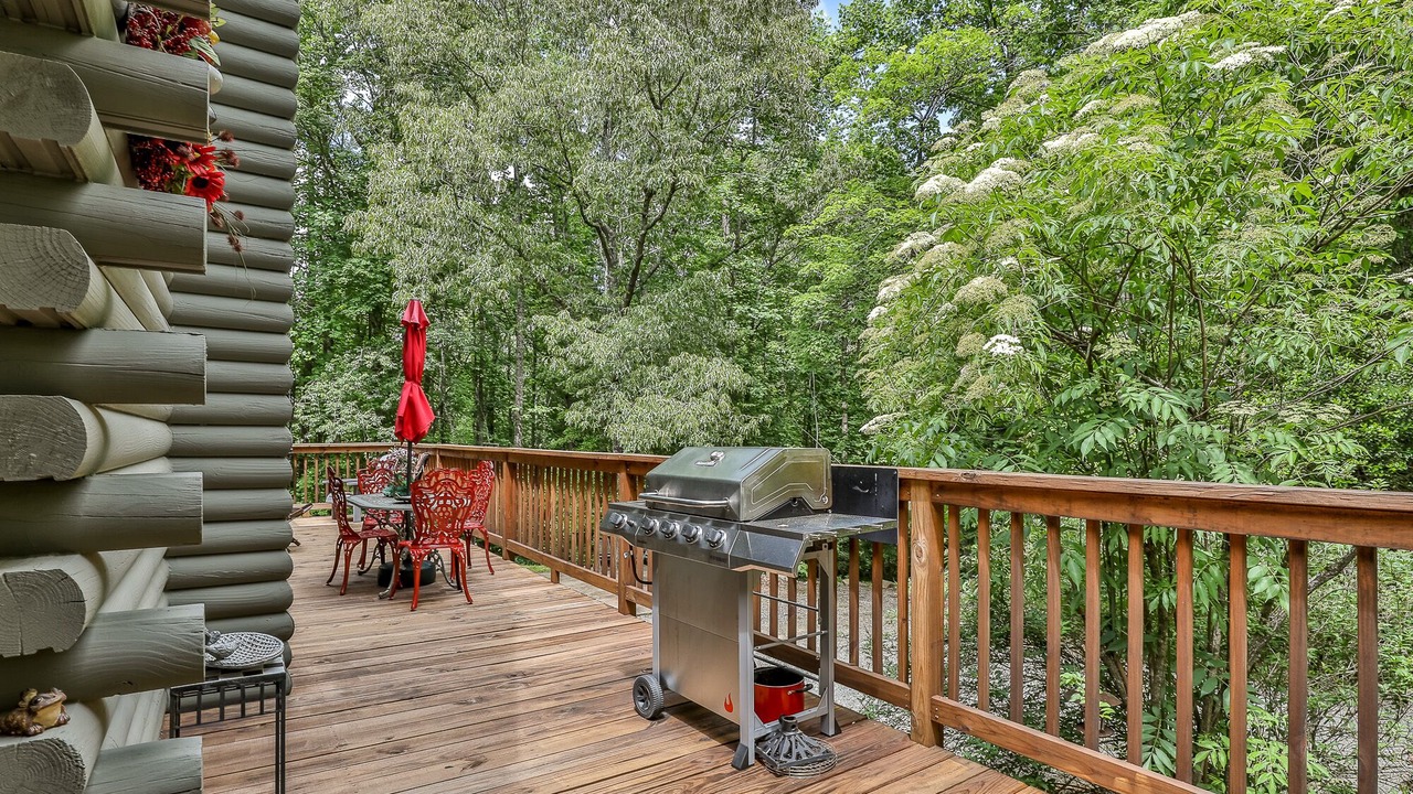 Photo of Outdoor in Ellijay
