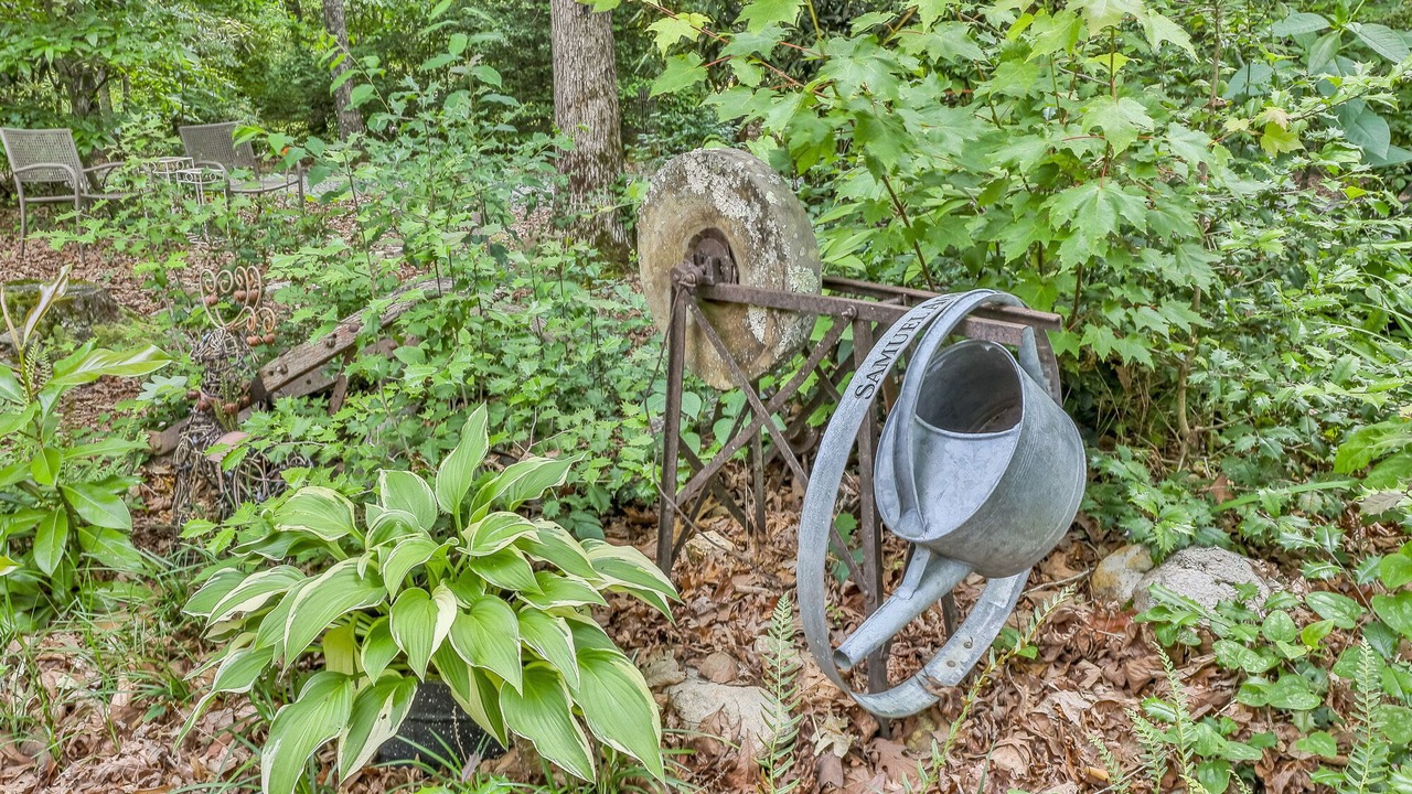 Photo of Others in Ellijay