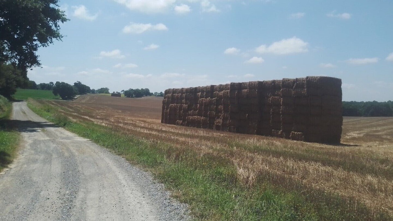 Photo of Outdoor in Vergoignan