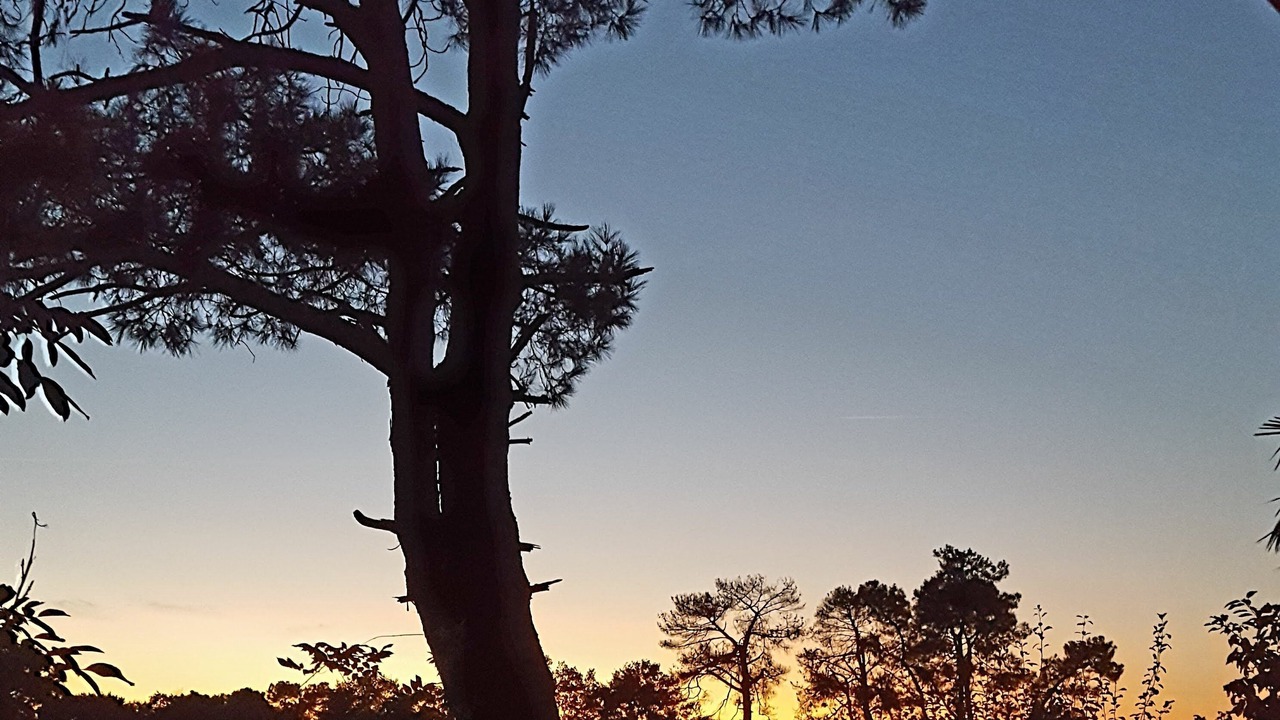 Photo of Outdoor in Vergoignan