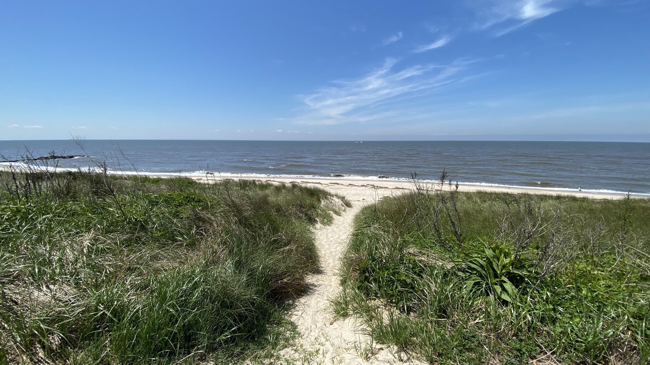 Photo of Others in North Cape May