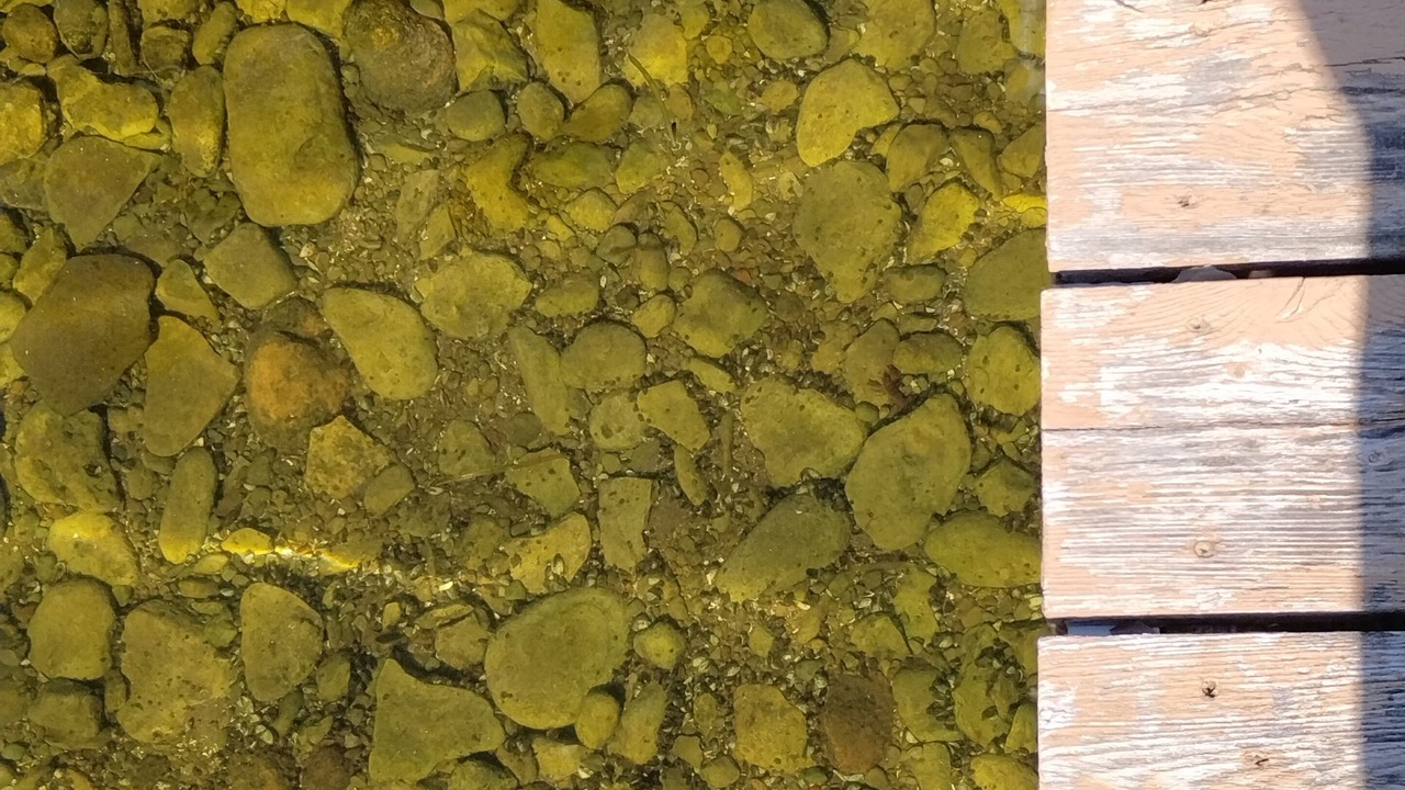 Photo of Outdoor in Fenelon Falls