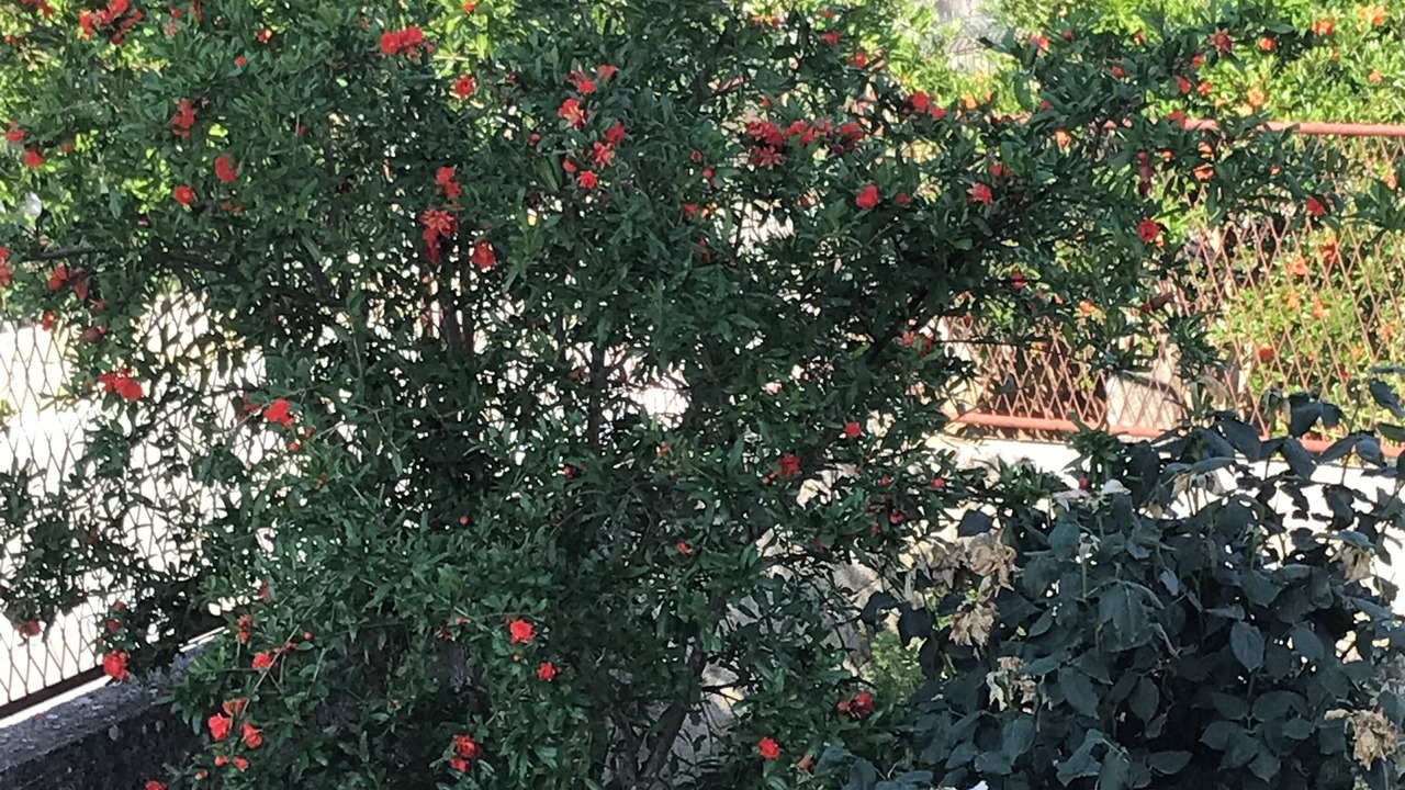 Photo of Outdoor in Lovinac