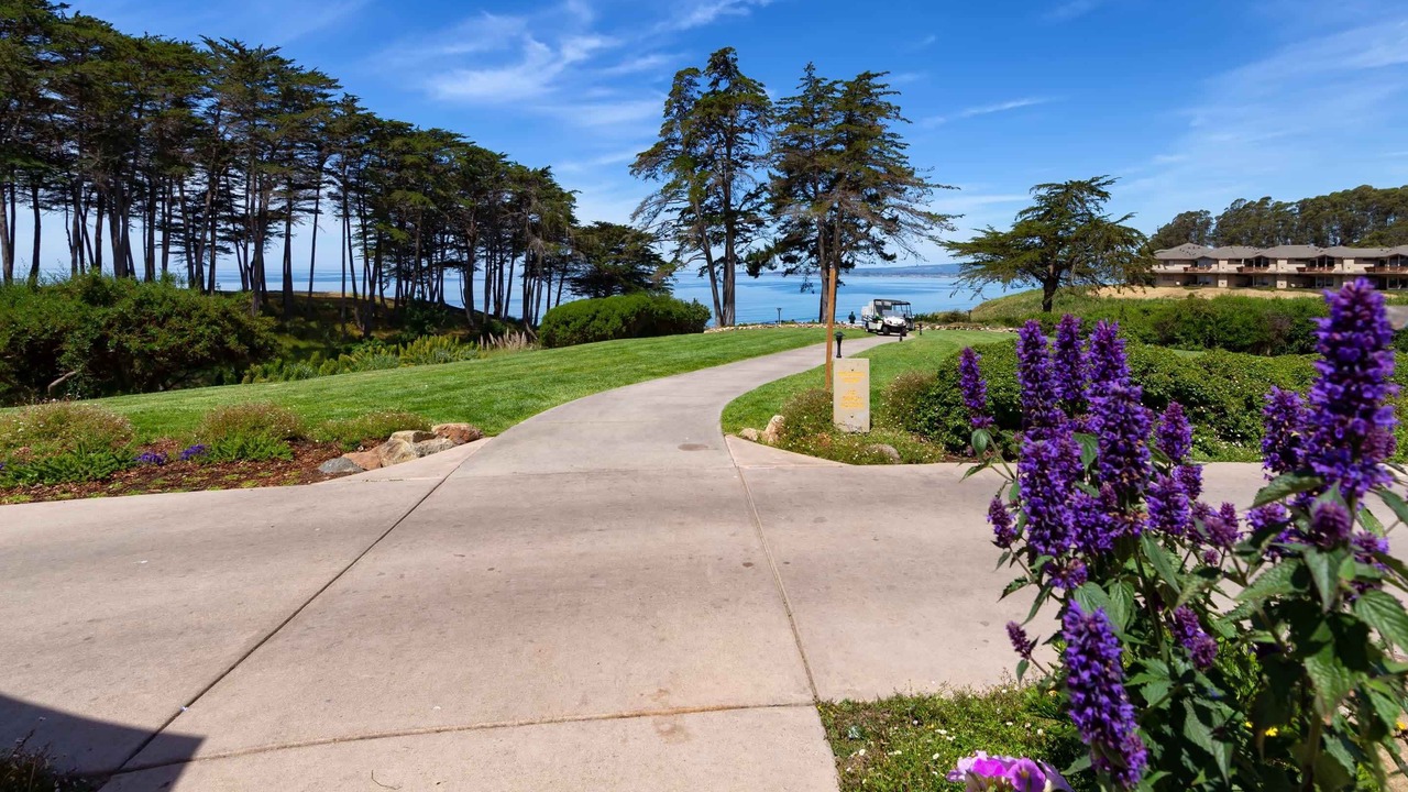 Photo of Others in Rio del Mar