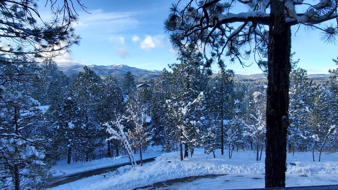 Photo of Others in Ruidoso