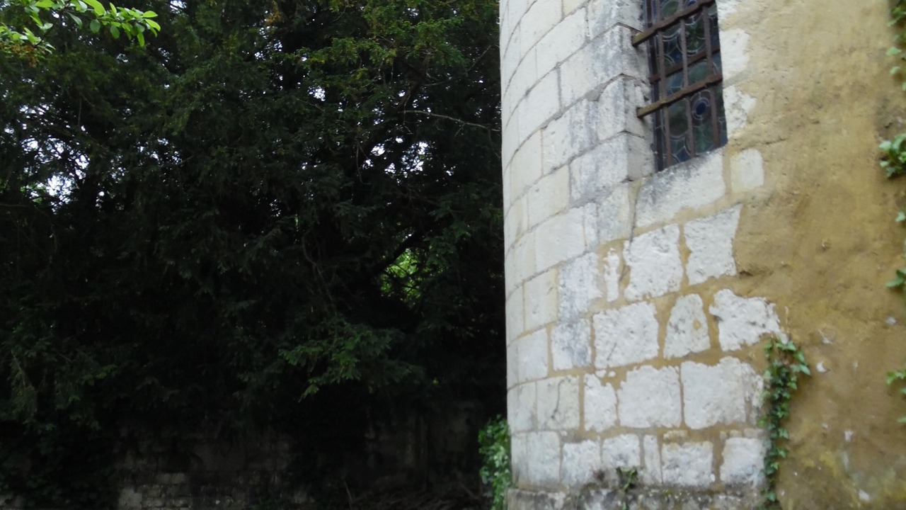 Photo of Outdoor in Courchamps