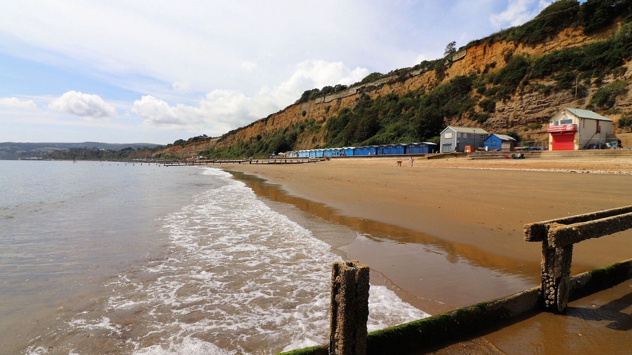 Photo of Others in Sandown