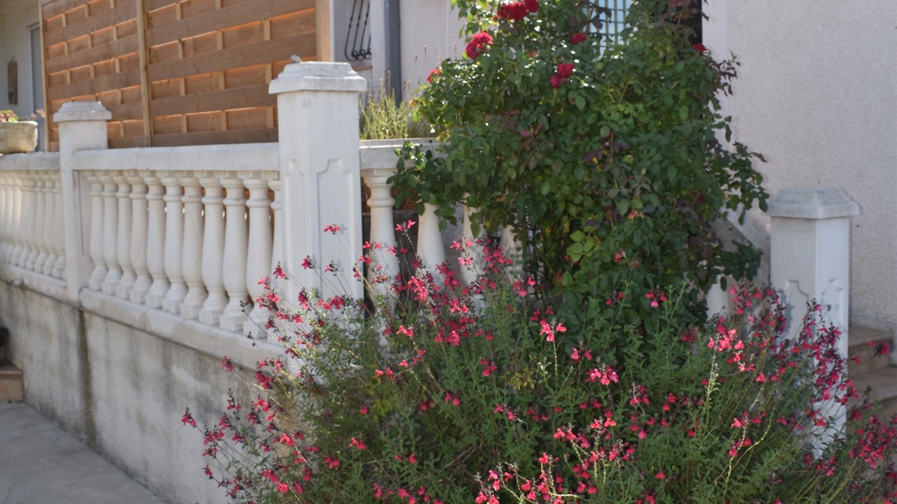 Photo of Outdoor in Cardet