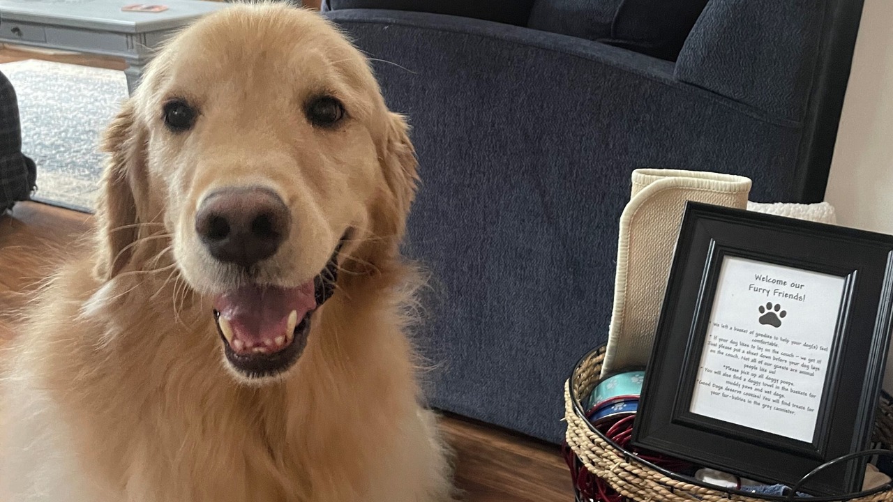 Photo of Others in Orson