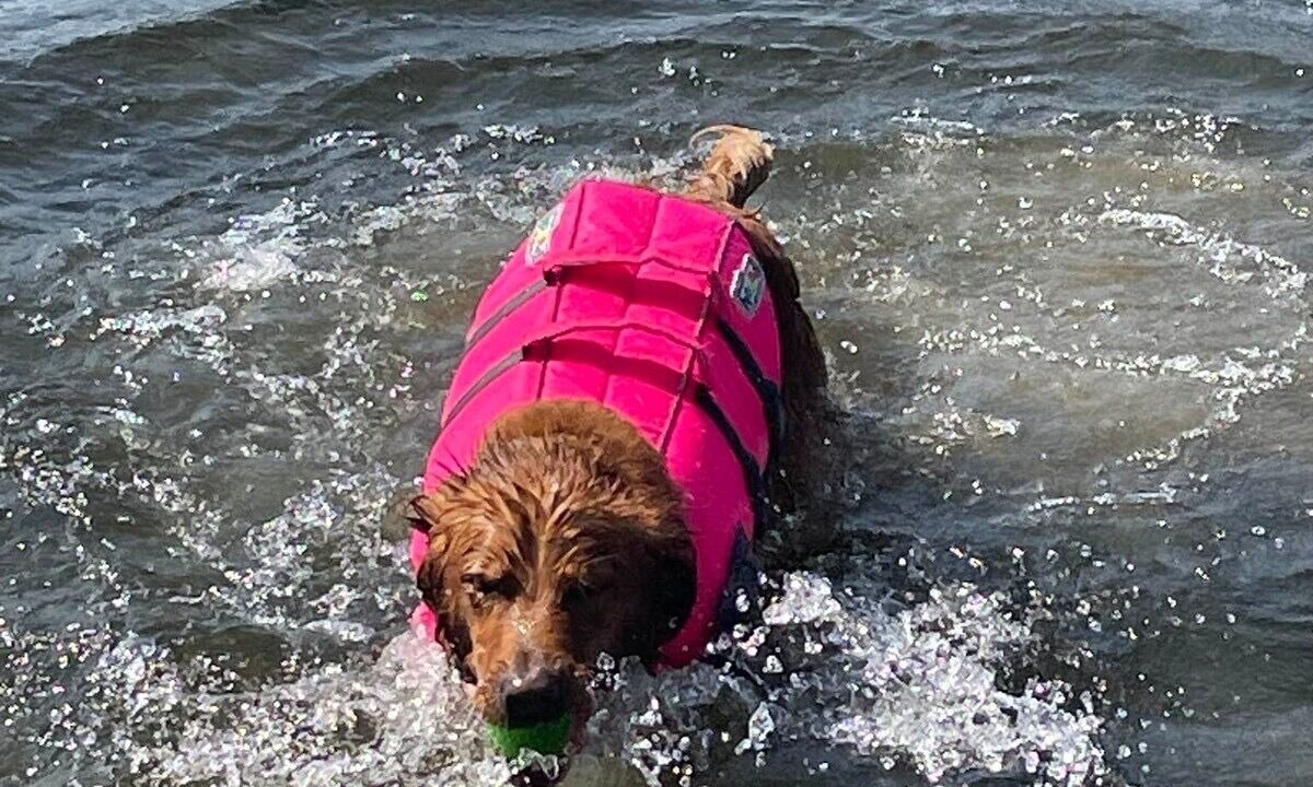 Photo of Others in Orson