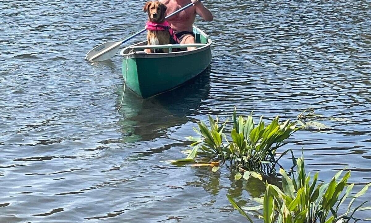 Photo of Others in Orson