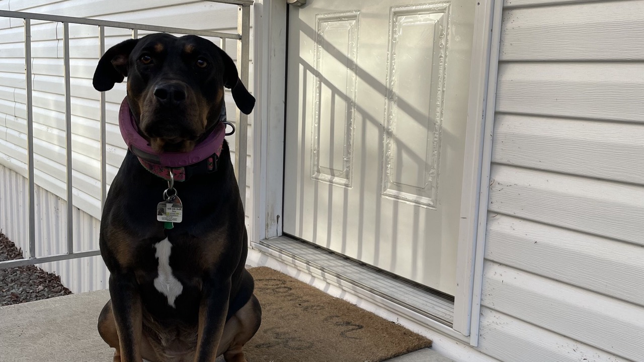 Photo of Outdoor in Orson