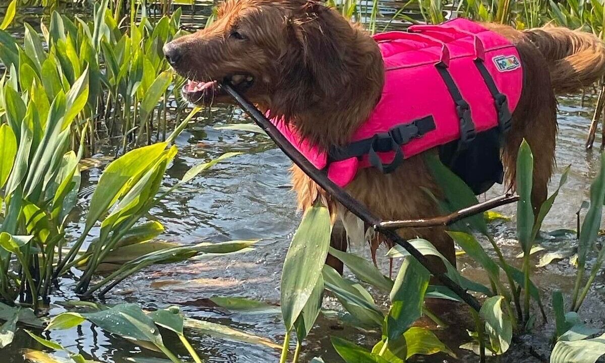 Photo of Others in Orson