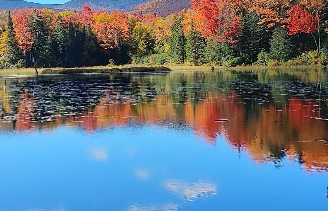 Photo of Others in Northwood