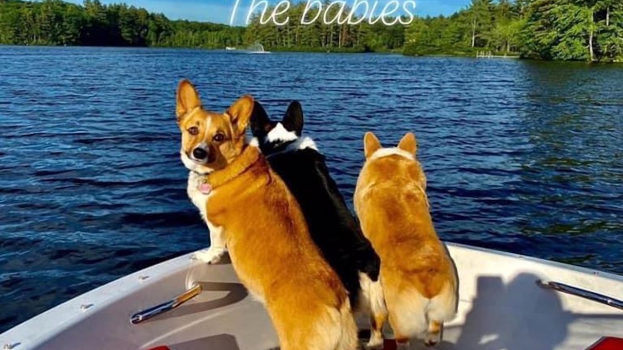 Photo of Others in Northwood