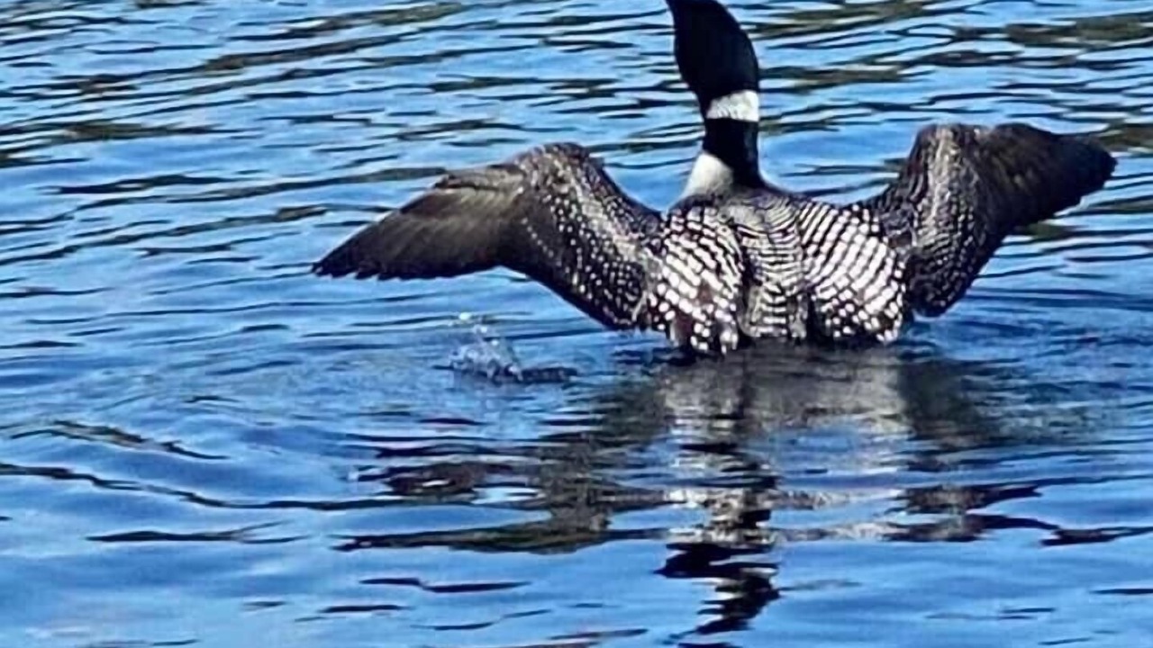 Photo of Others in Northwood