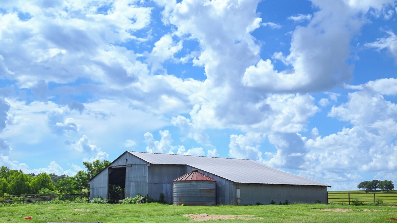 Photo of Outdoor in Edom
