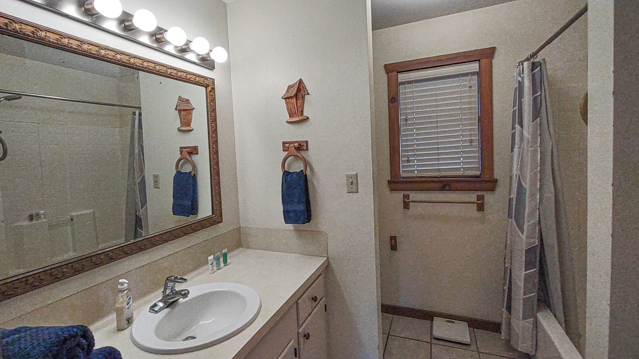 Photo of Bathroom in Edom