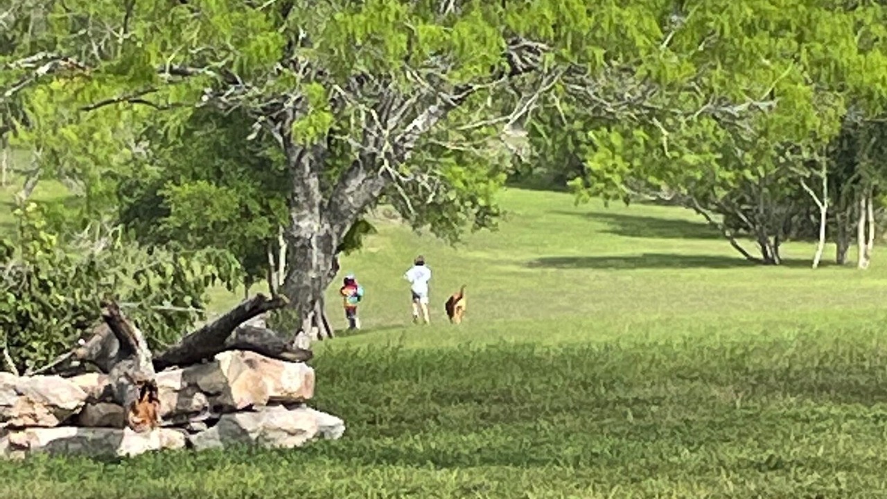 Photo of Others in Lockhart