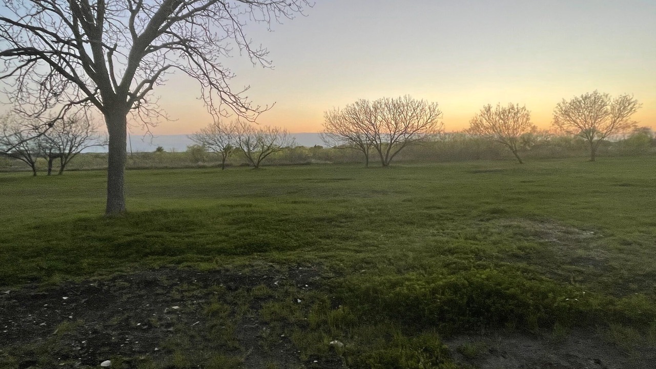 Photo of Outdoor in Lockhart