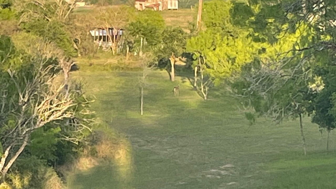 Photo of Others in Lockhart