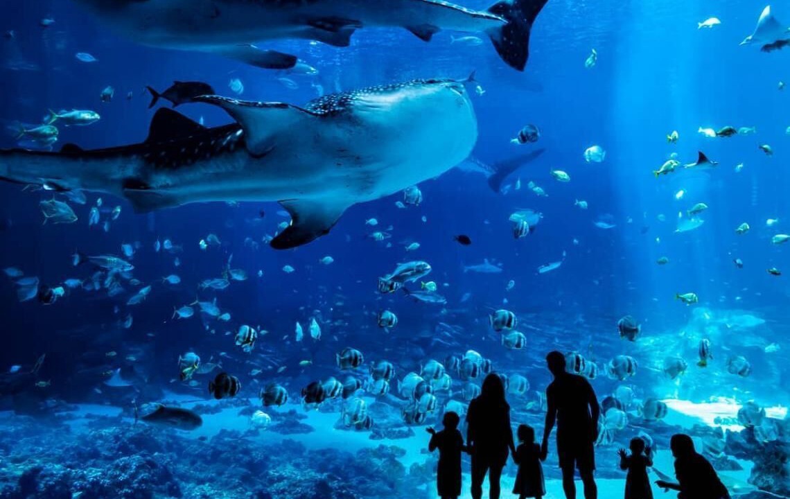 Photo of Outdoor in Lindbergh