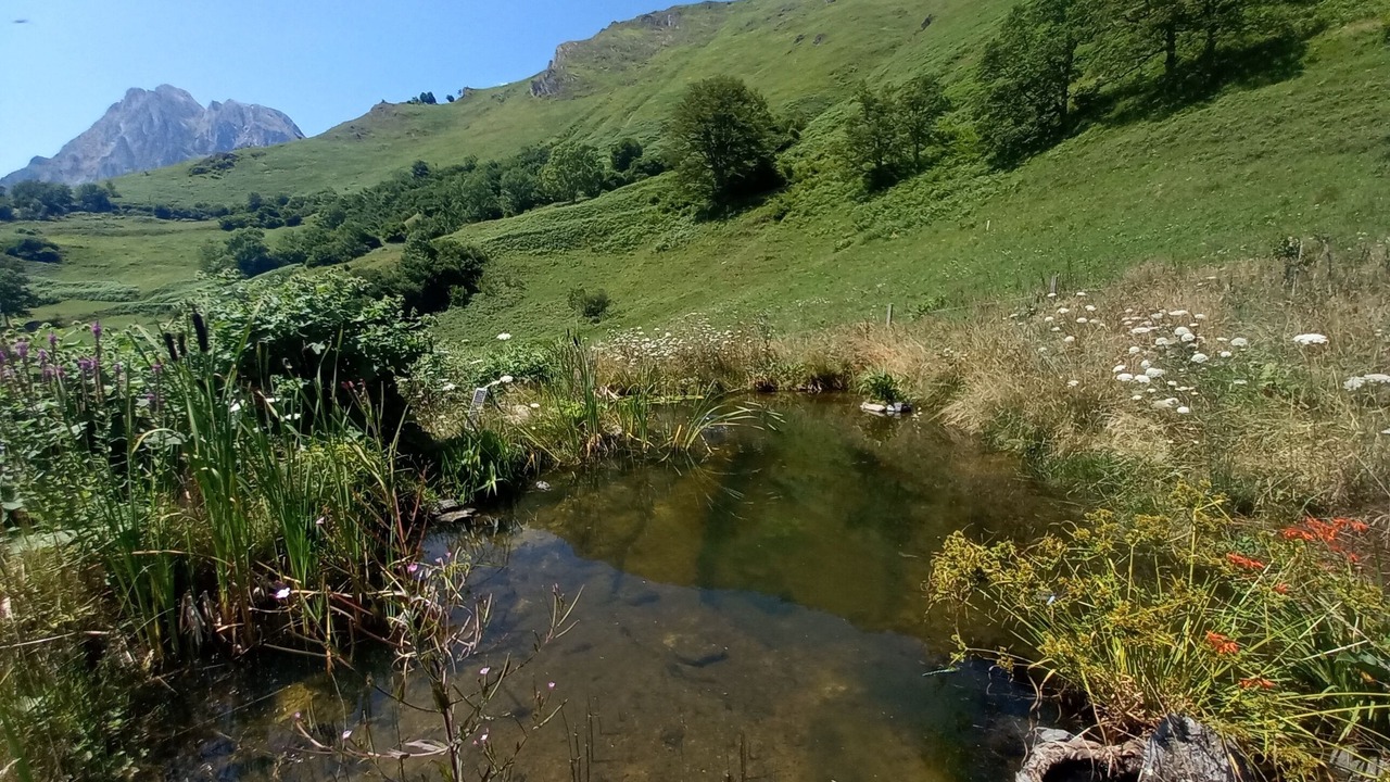 Photo of Others in Lescun