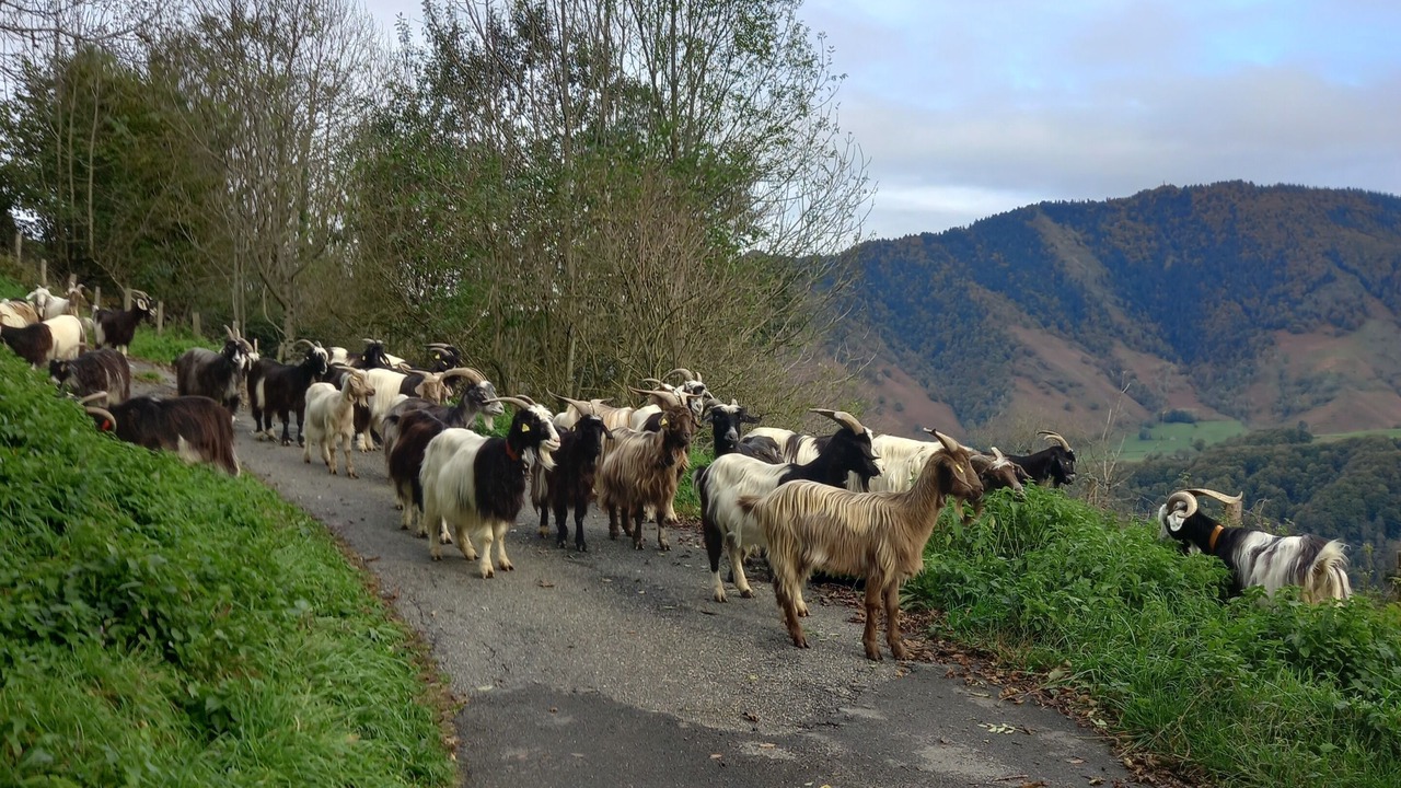 Photo of Others in Lescun