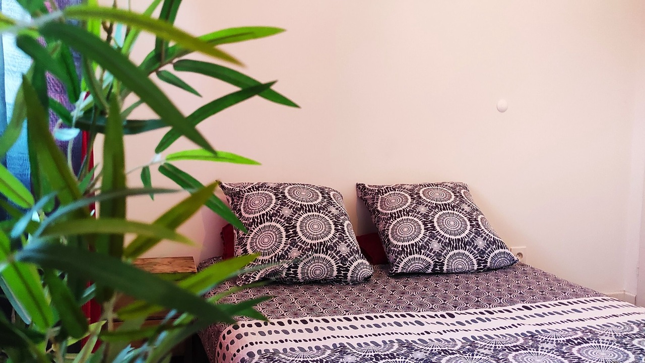 Photo of Bedroom in Viriat