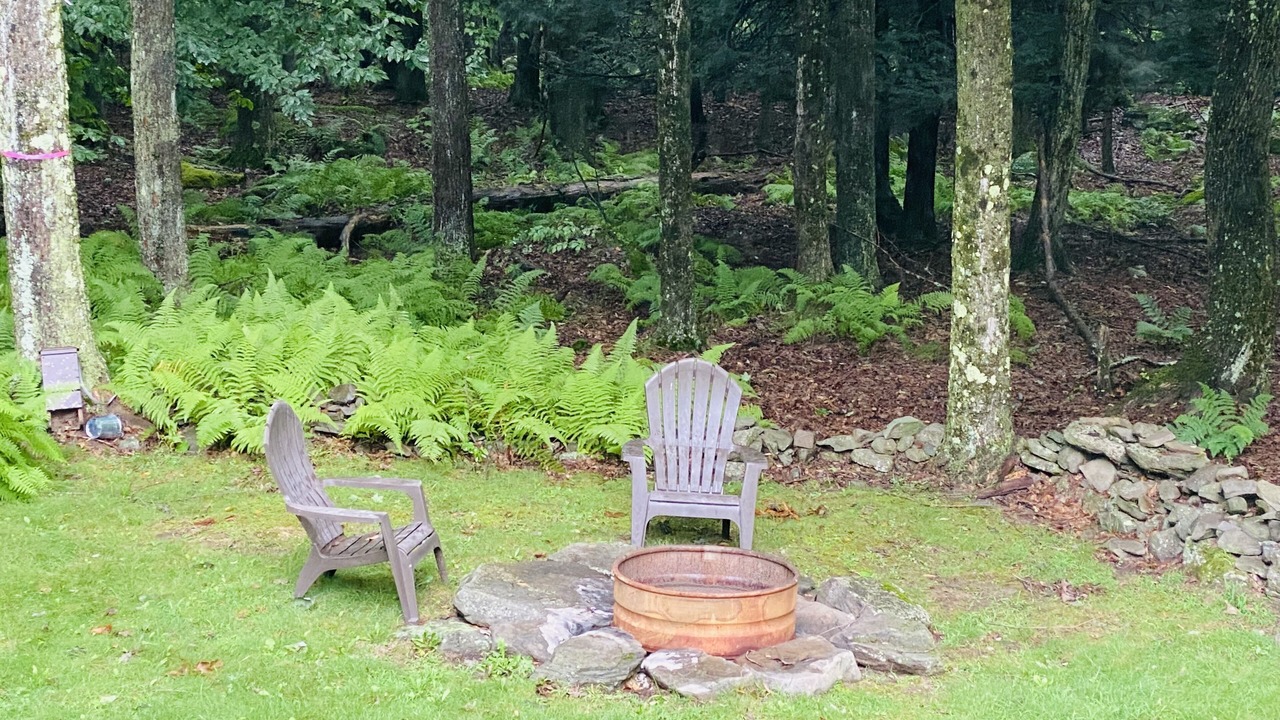 Photo of Outdoor in Hamlin