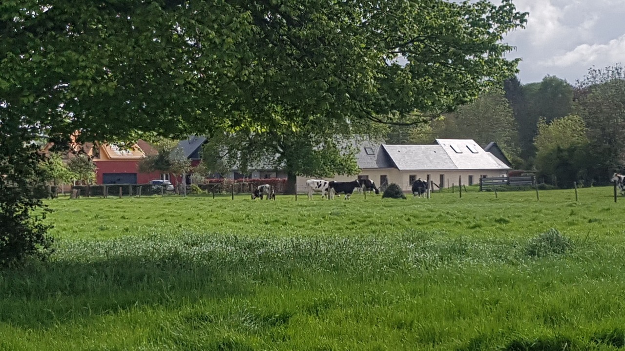 Photo of Outdoor in Bouillancourt-en-Sery