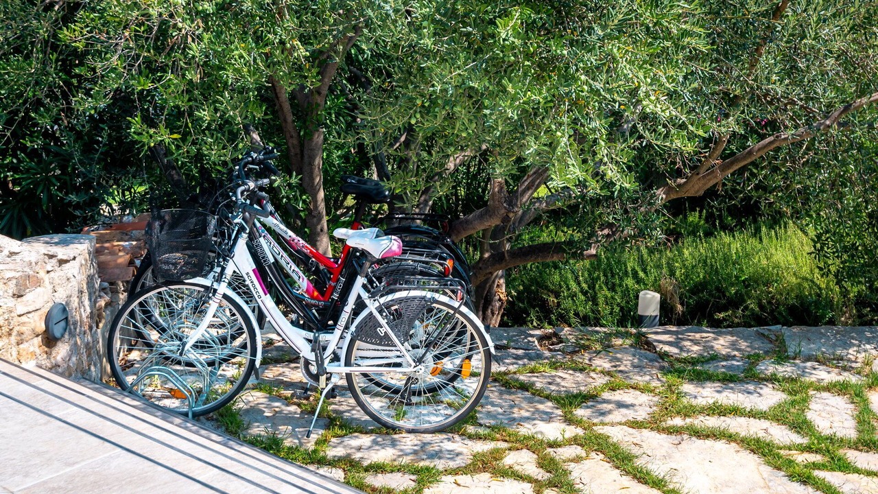 Photo of Outdoor in Prvic Luka