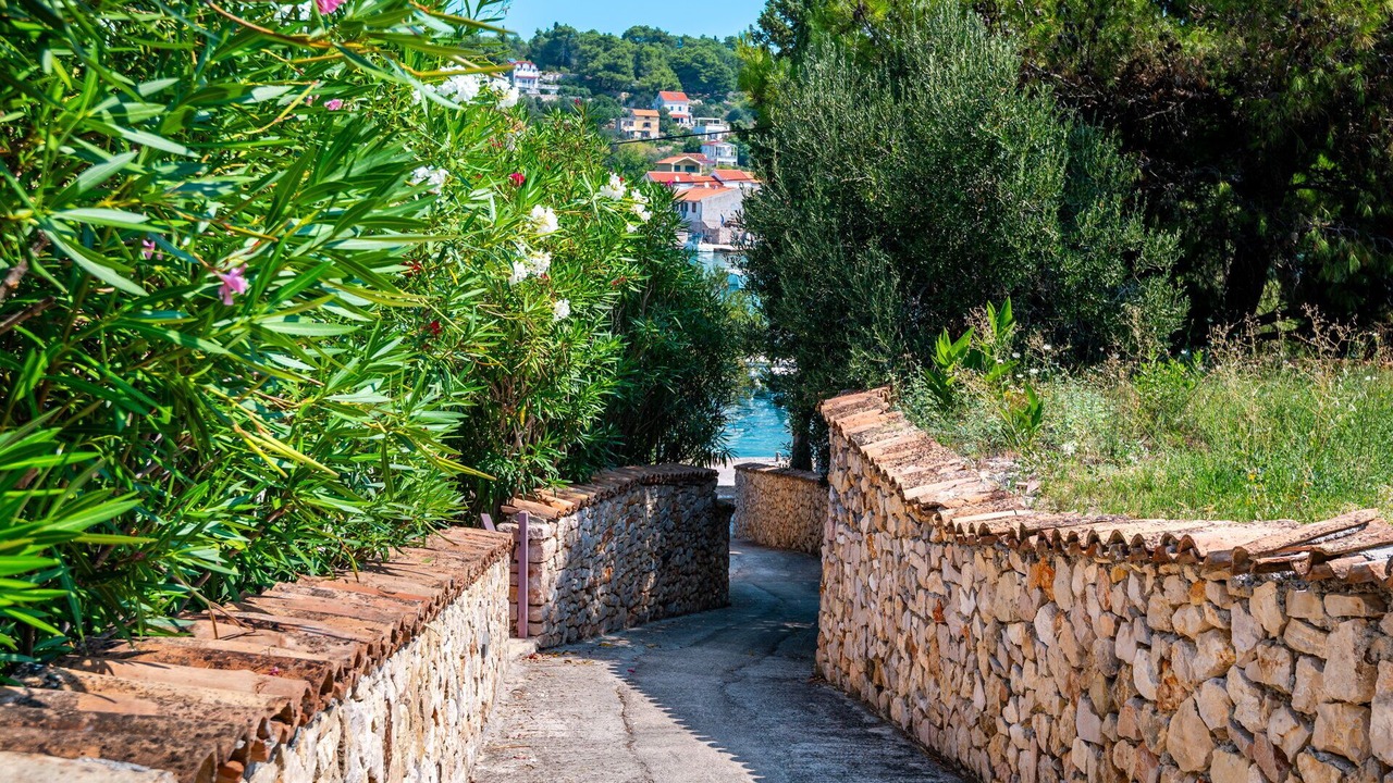 Photo of Outdoor in Prvic Luka