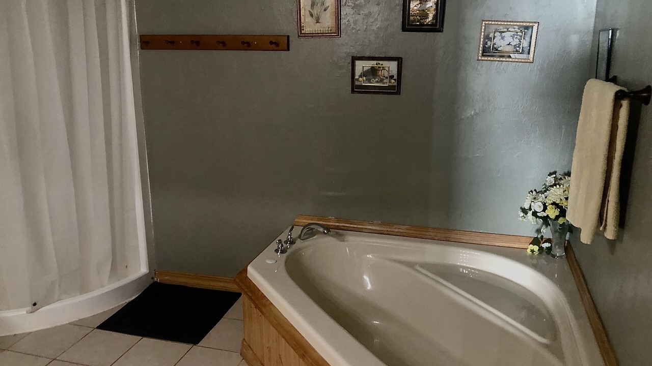 Photo of Bathroom in Saint David