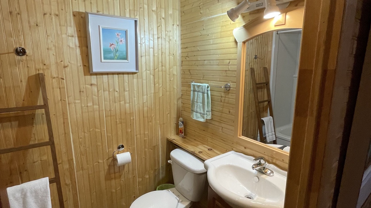 Photo of Bathroom in Lamarche
