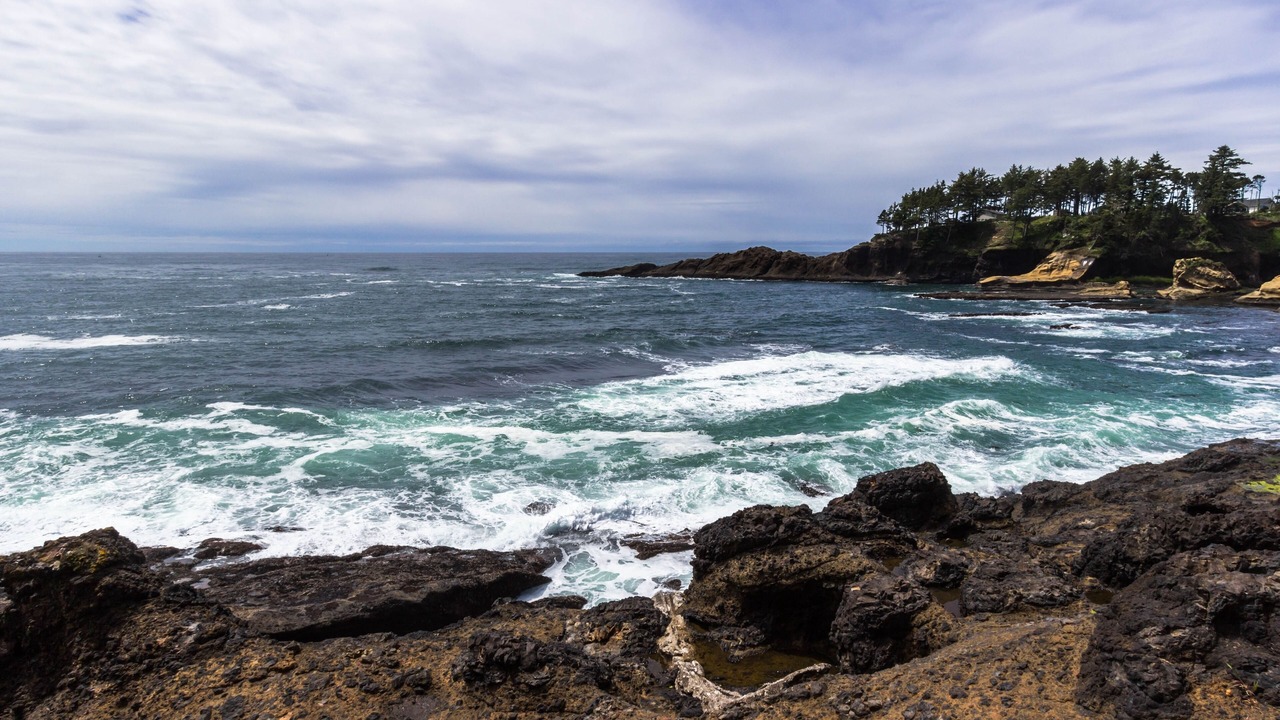 Photo of Others in Depoe Bay