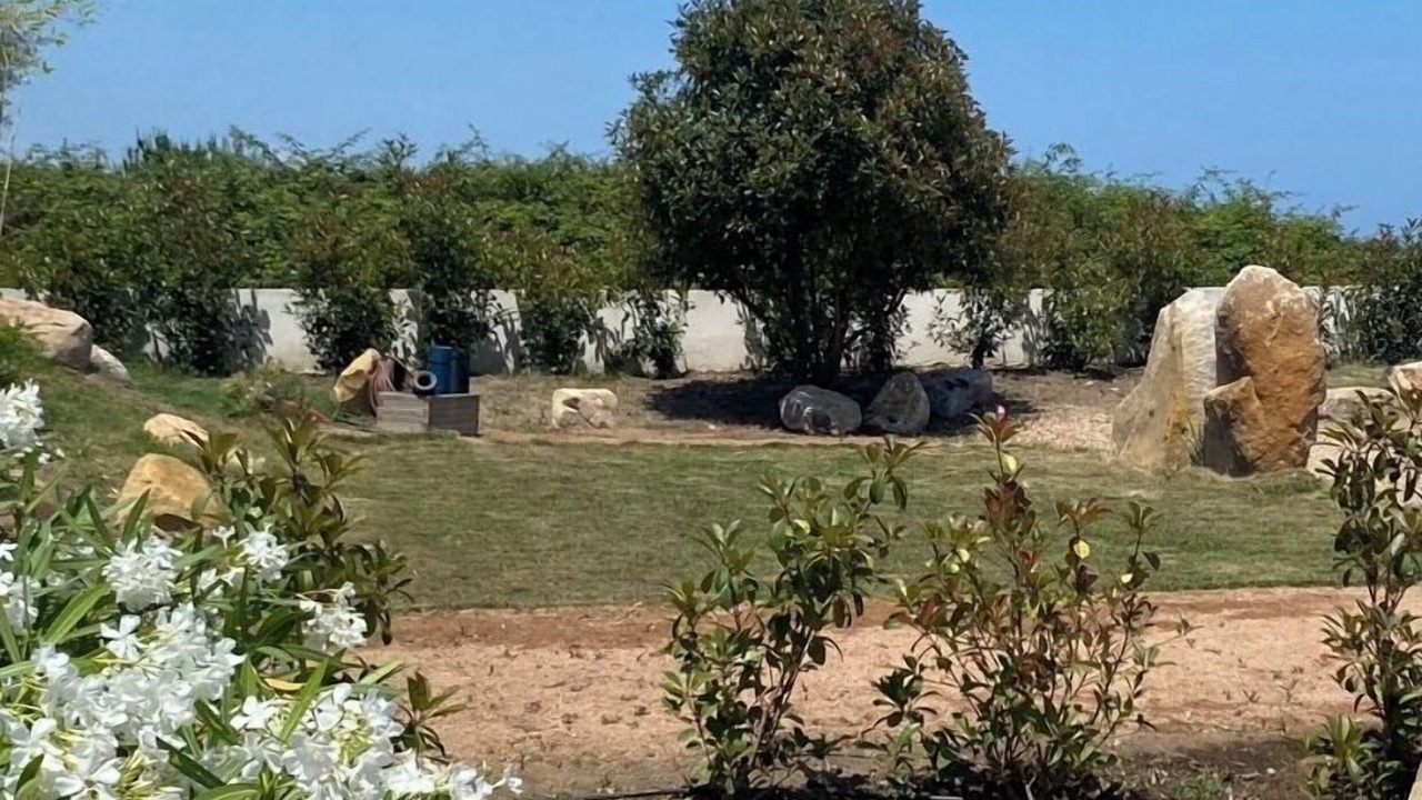 Photo of Outdoor in Sari-Solenzara