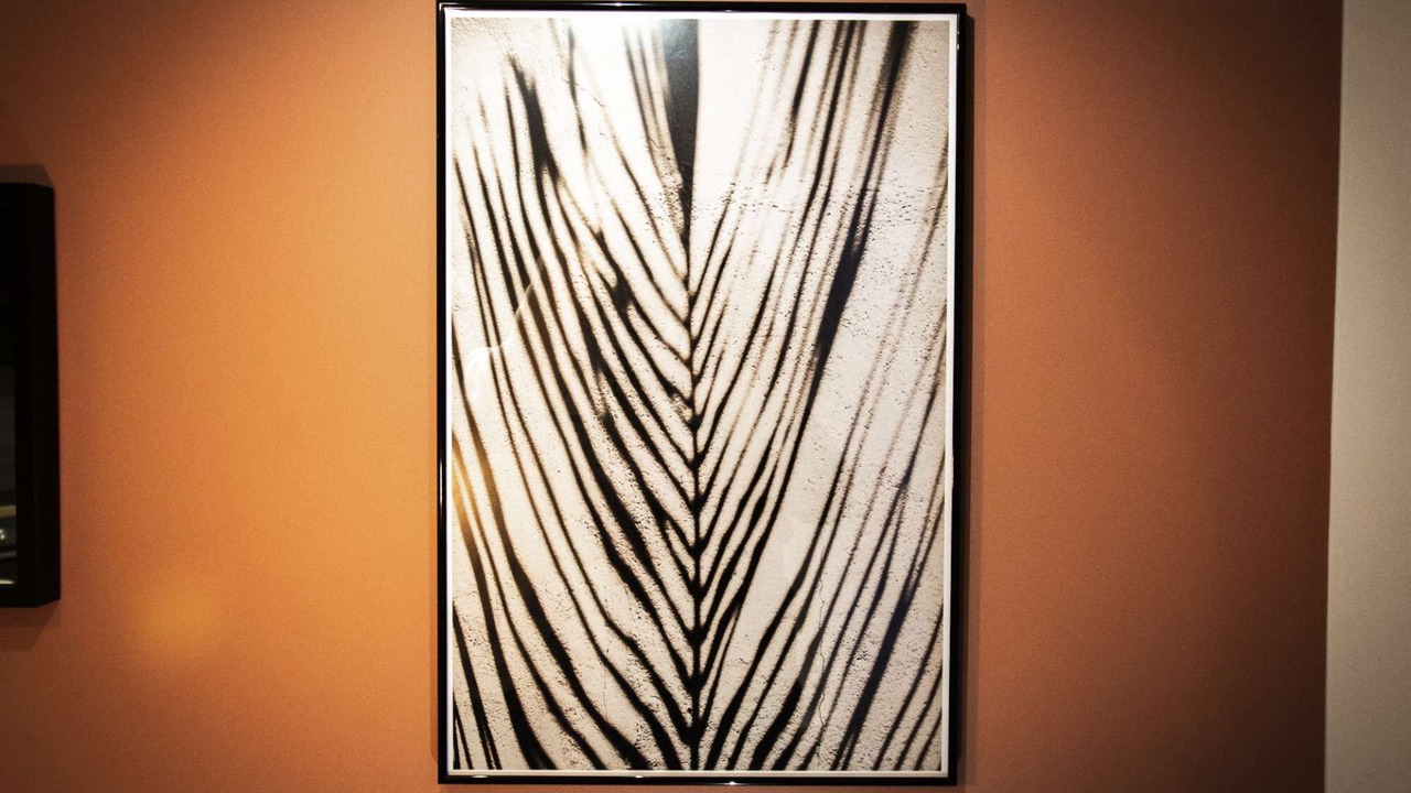 Photo of Others in Saint-Valery-sur-Somme