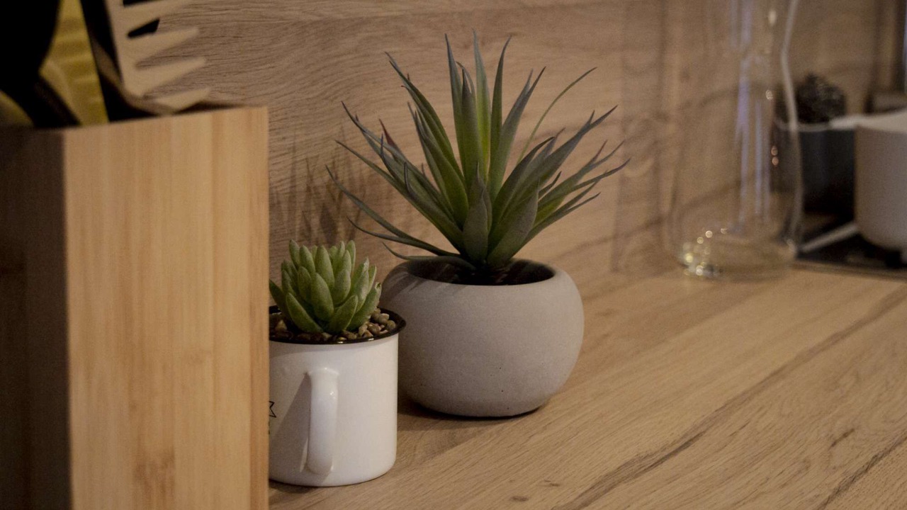 Photo of Others in Saint-Valery-sur-Somme