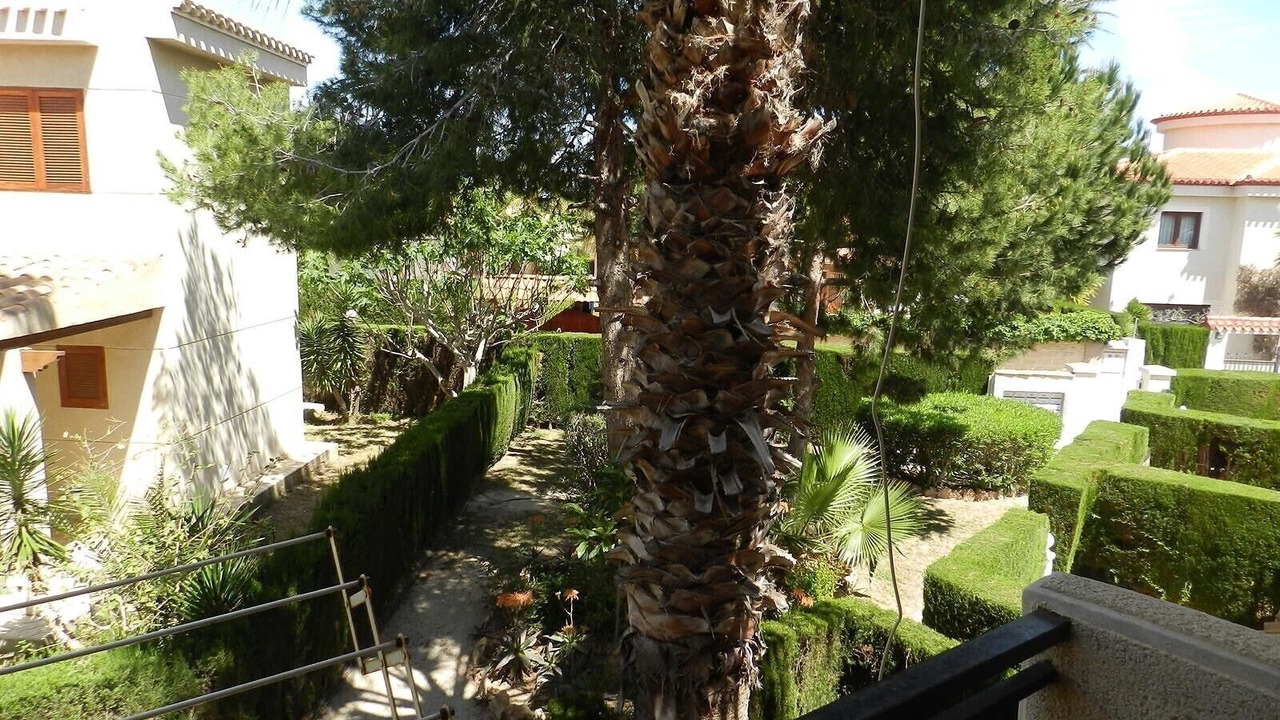 Photo of Outdoor in Playa Flamenca